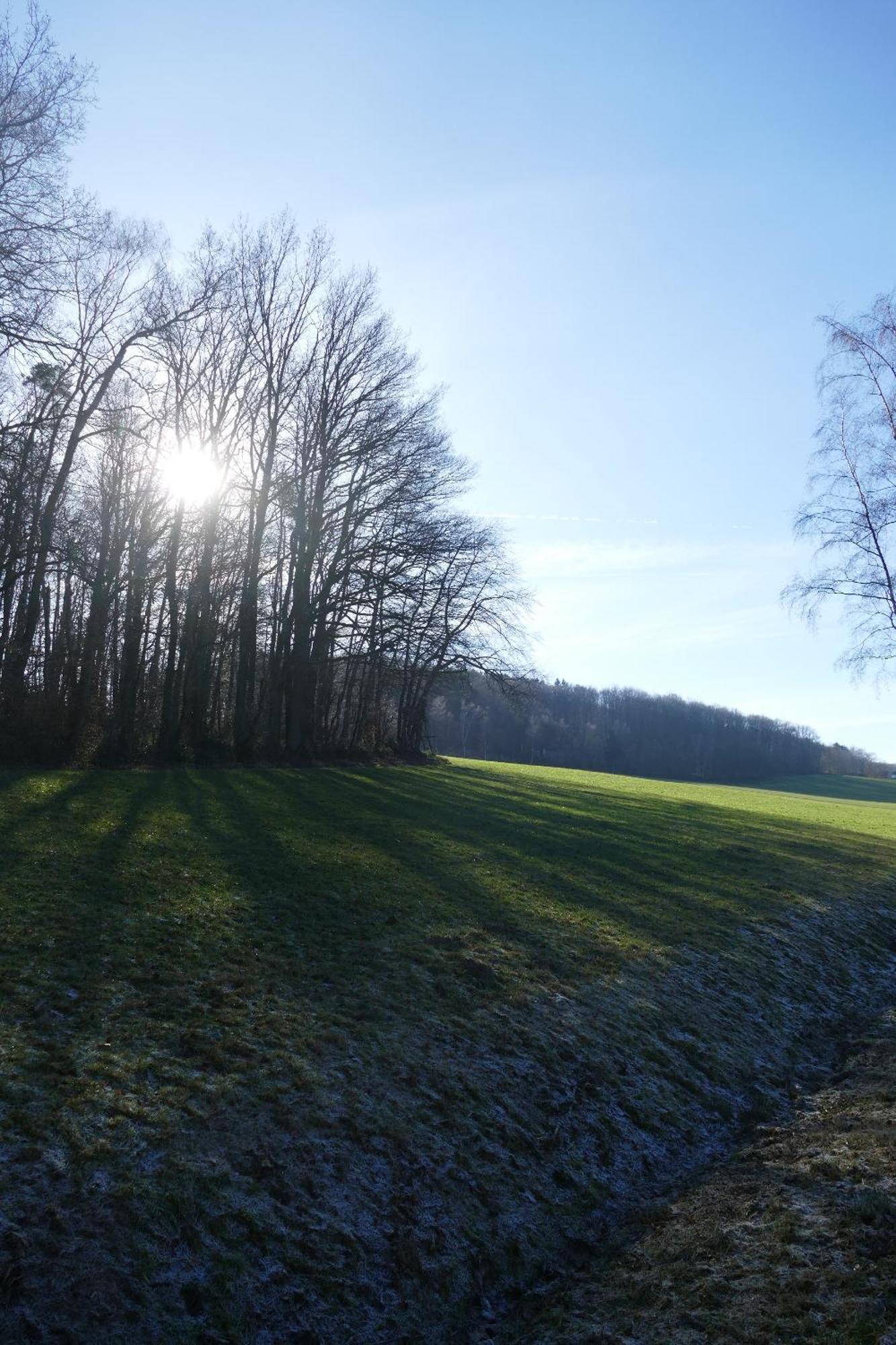 Ferienwohnung Hueppelroettchen Eitorf Bagian luar foto